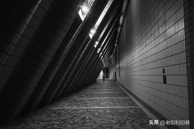 罗生门和黄粱梦,罗生门香港live