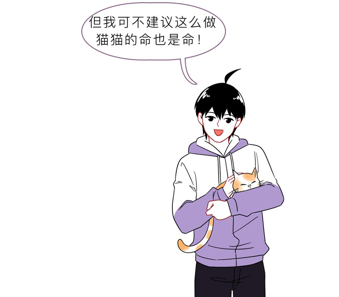 被峨眉山猴子打可以反击吗,峨眉山猴子被人类反杀