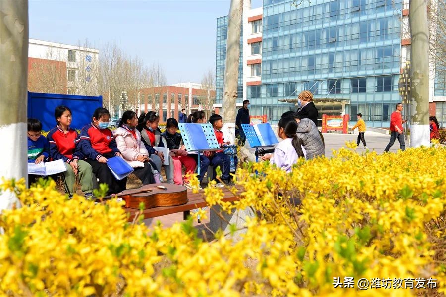 美！潍坊校园春景强势来袭