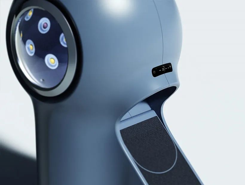 宠物设计用什么产品比较好,给宠物设计一款产品