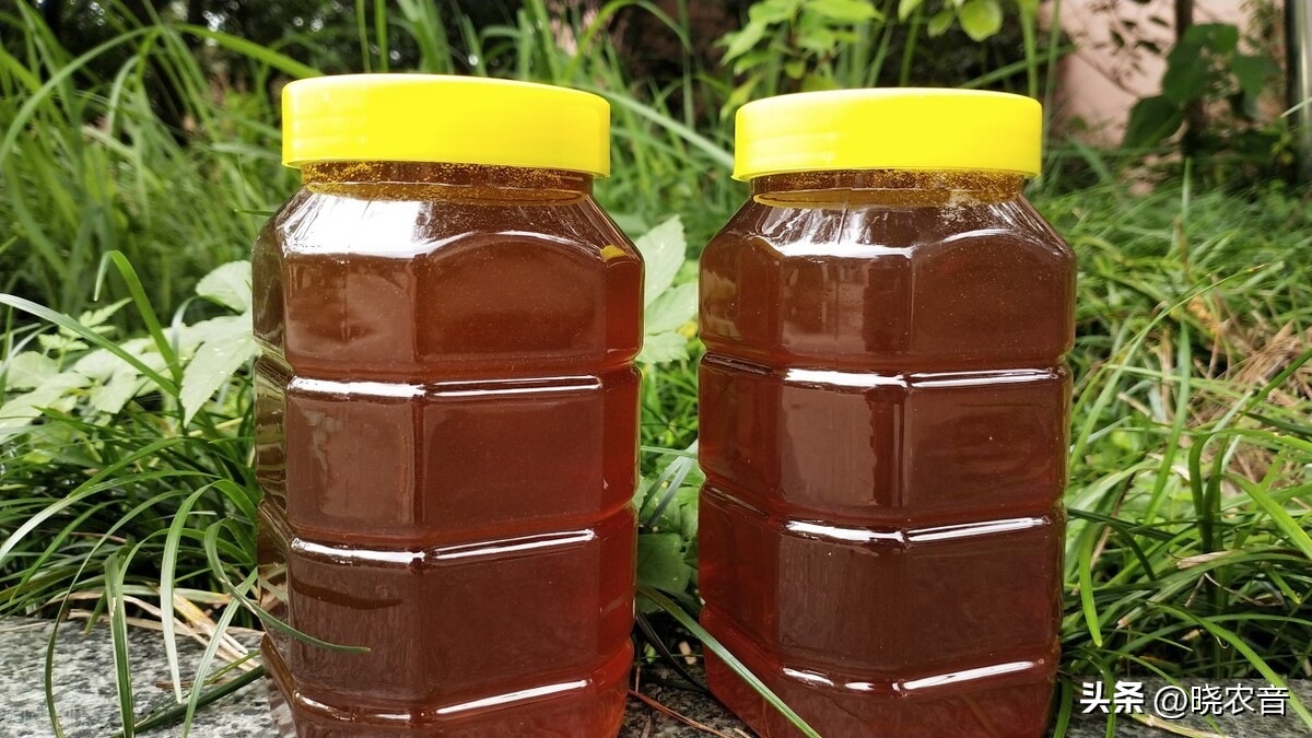 养殖土蜜蜂怎样才能看到王台,蜜蜂土养好还是活框养殖好