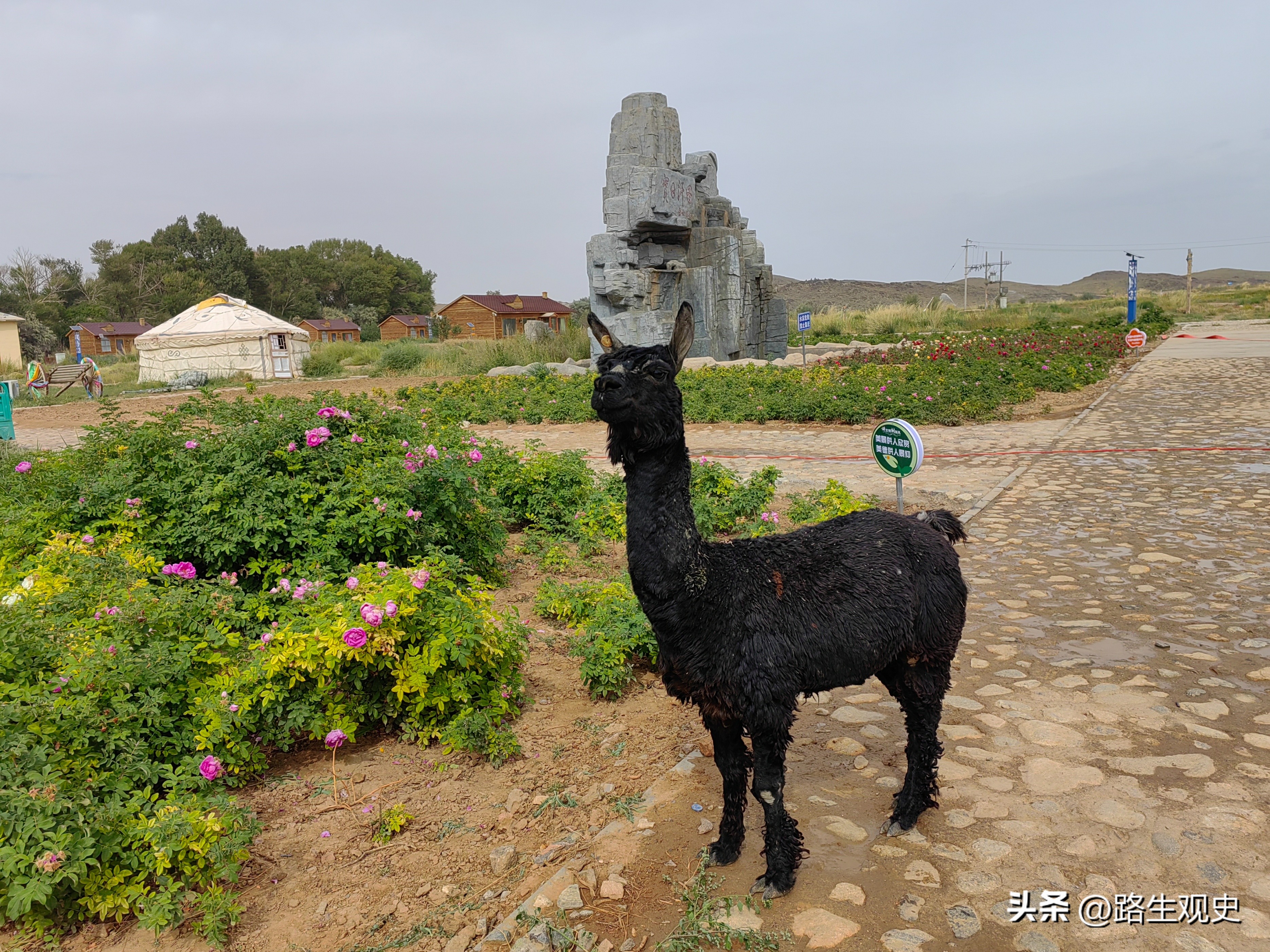 内蒙古一个美丽而又神秘的地方,内蒙古有什么秘境