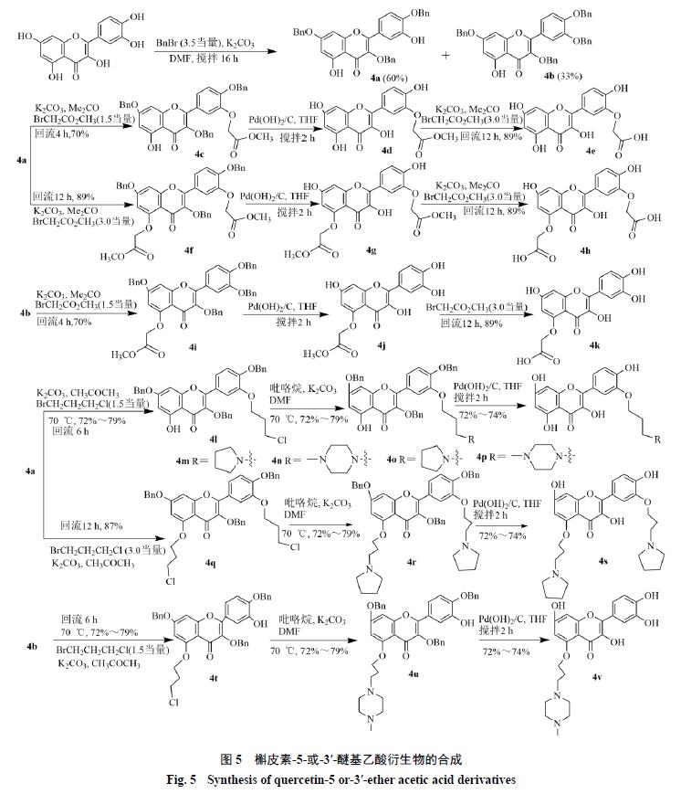 槲皮素的氧化机理,槲皮素的有关药物活性成分