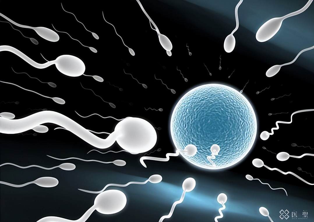 isei,日本不孕不育干细胞