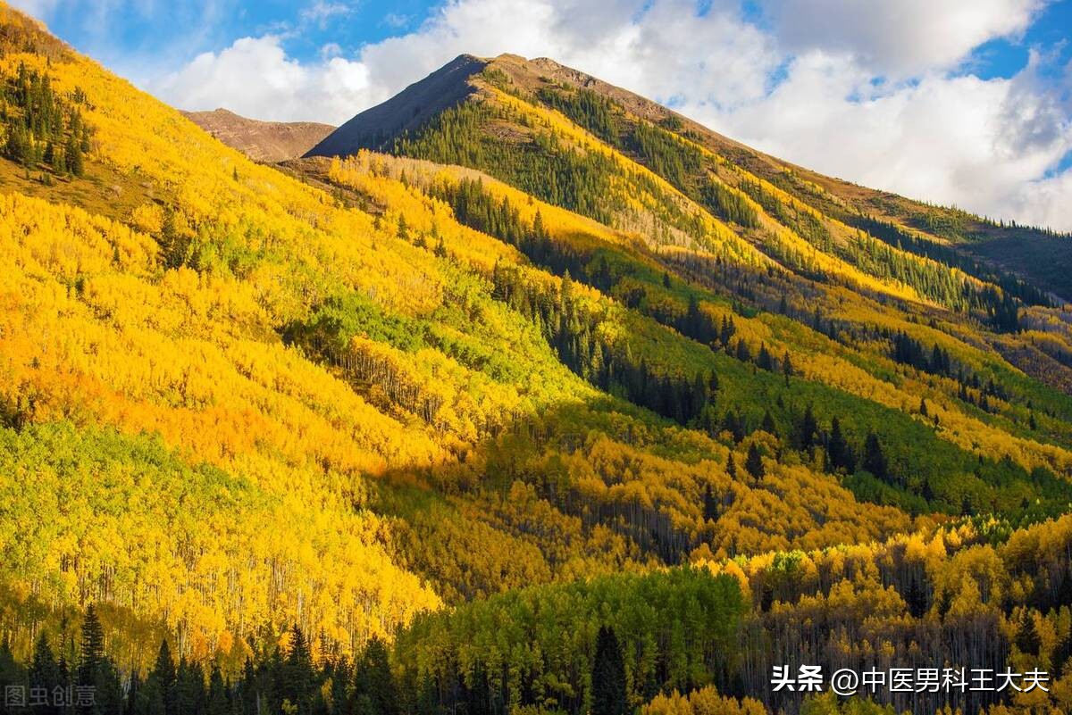 治疗了十多年的前列腺还治不好,得了慢性前列腺炎吃了很多中药