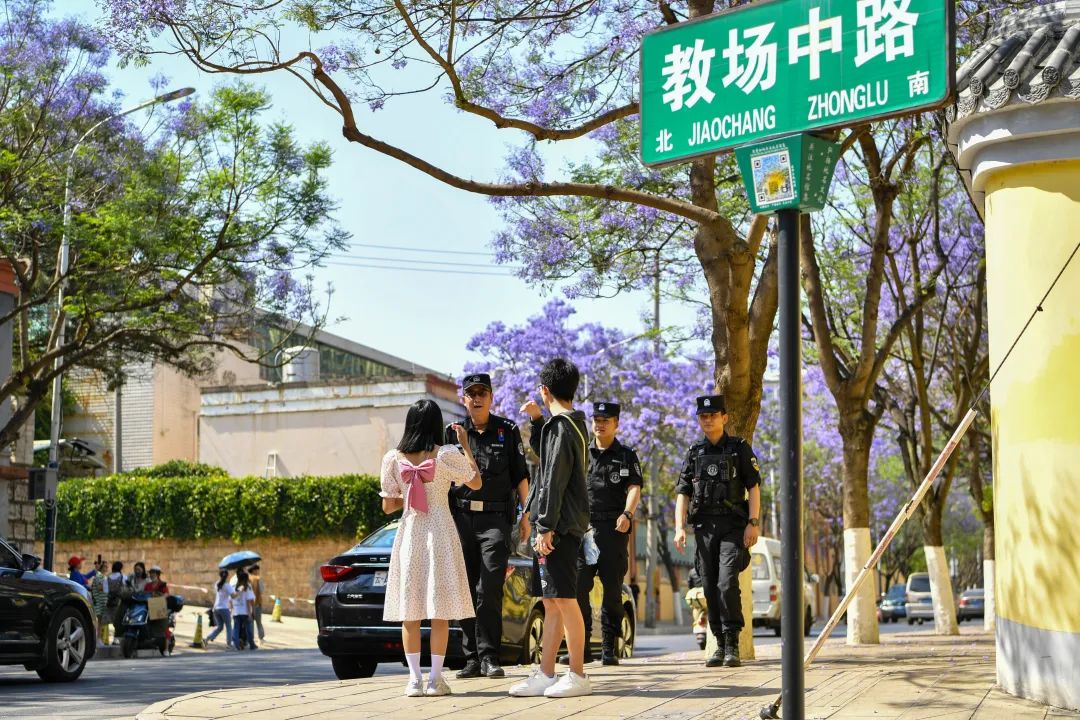 芸儿美美美美美,美美美美美美美英文