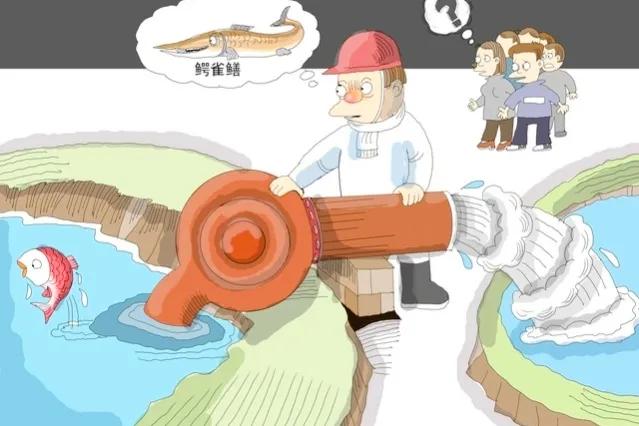 北美怪鱼凶如鳄鱼,巨怪鱼现身