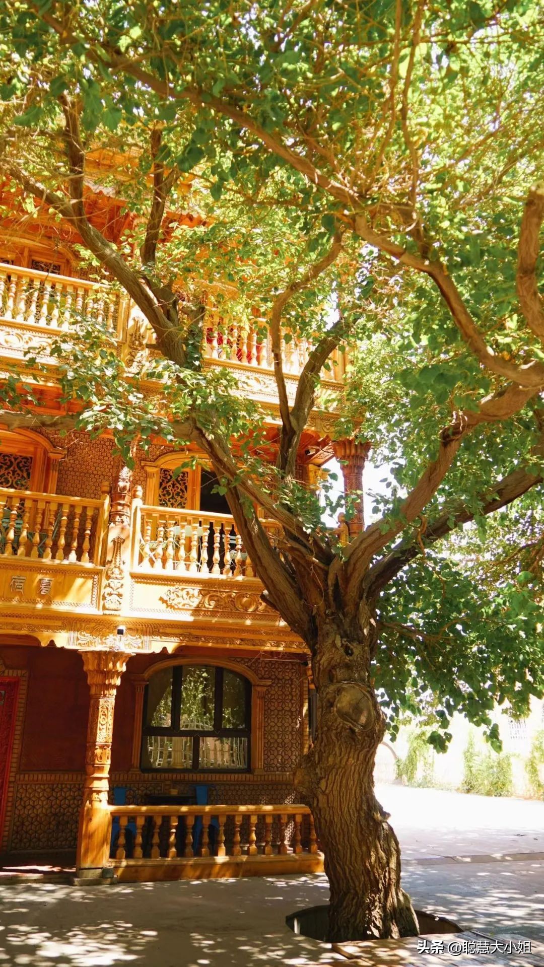 *疆新**，美到封神！配得上“她”的民宿有多少？