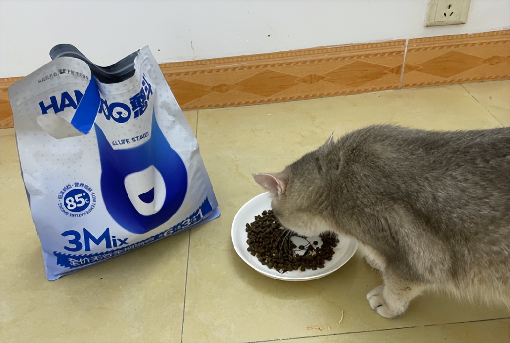 猫粮幼猫1-12月测评真实,宪宠幼猫全价猫粮测评