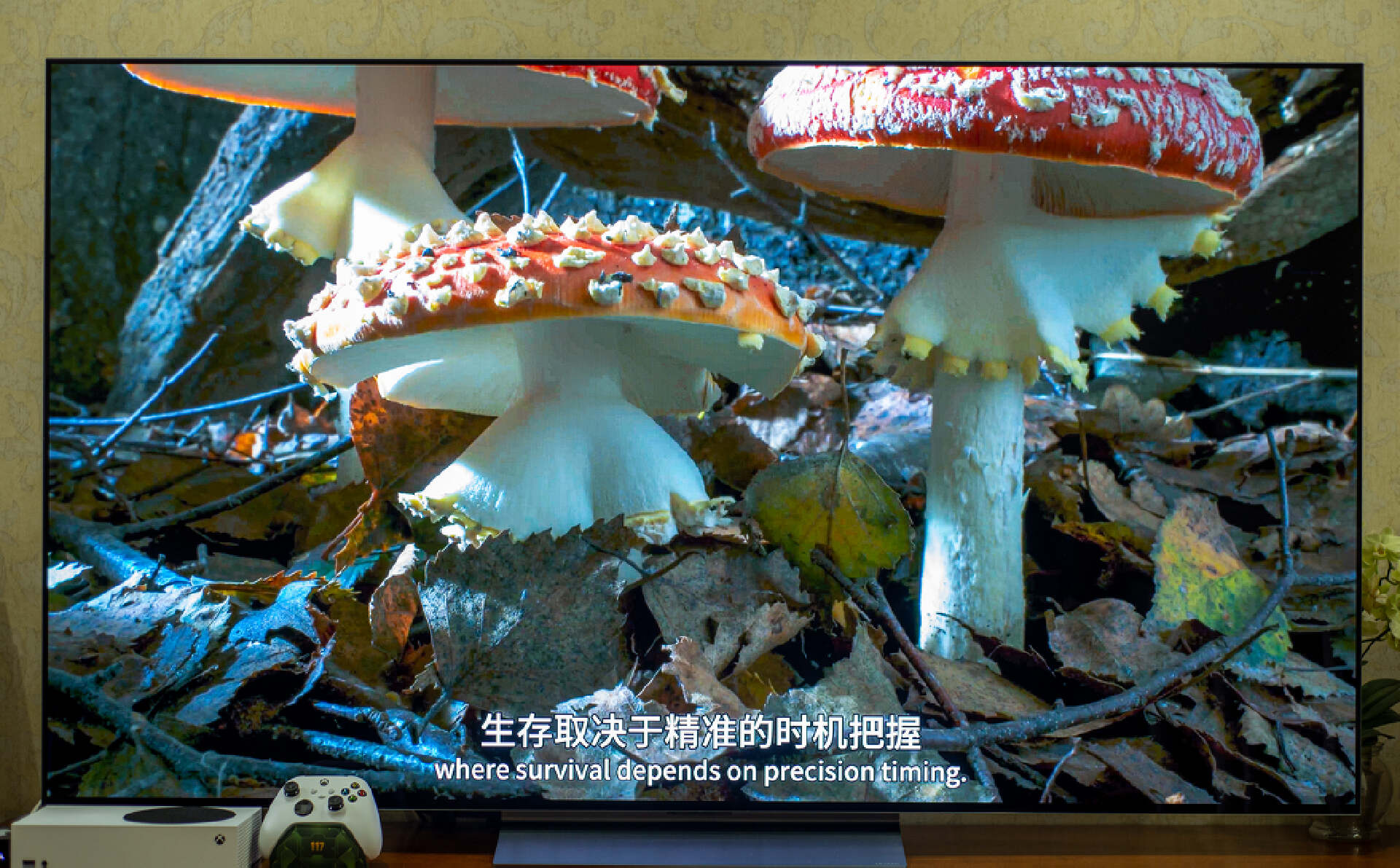 oled超高画质电视,画质天花板microled