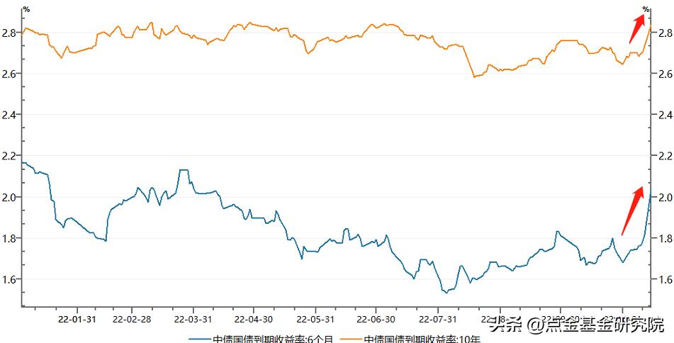 债券基金怎么看亏了,债券基金亏了怎么办