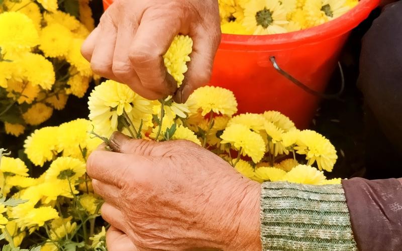 上了年纪哪些食物要少吃,上了年纪需要特意喝药防范疾病吗