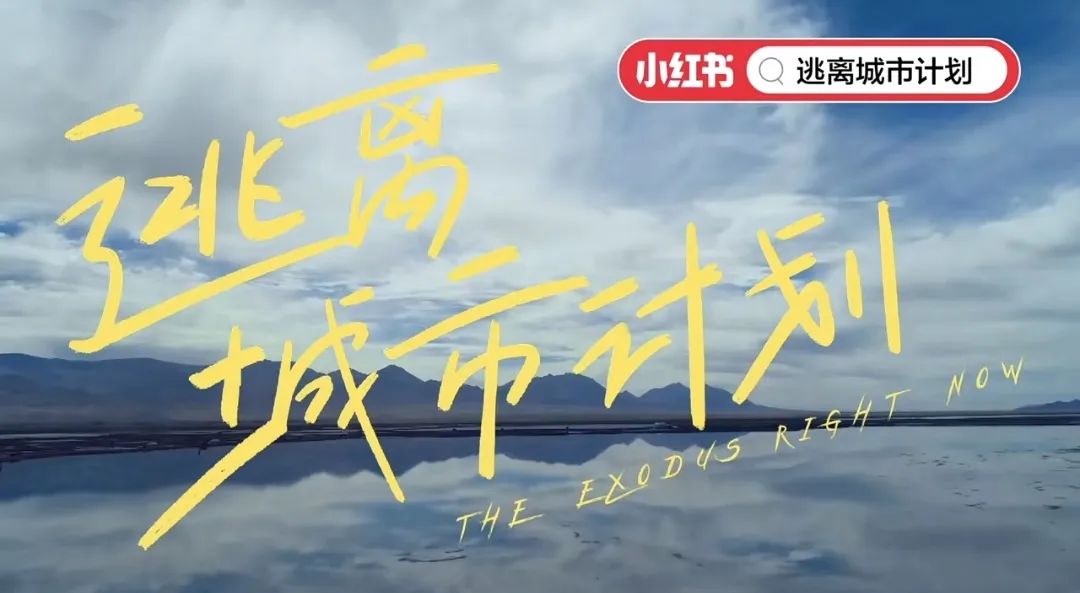 小红书里面的节目,我在看小红书