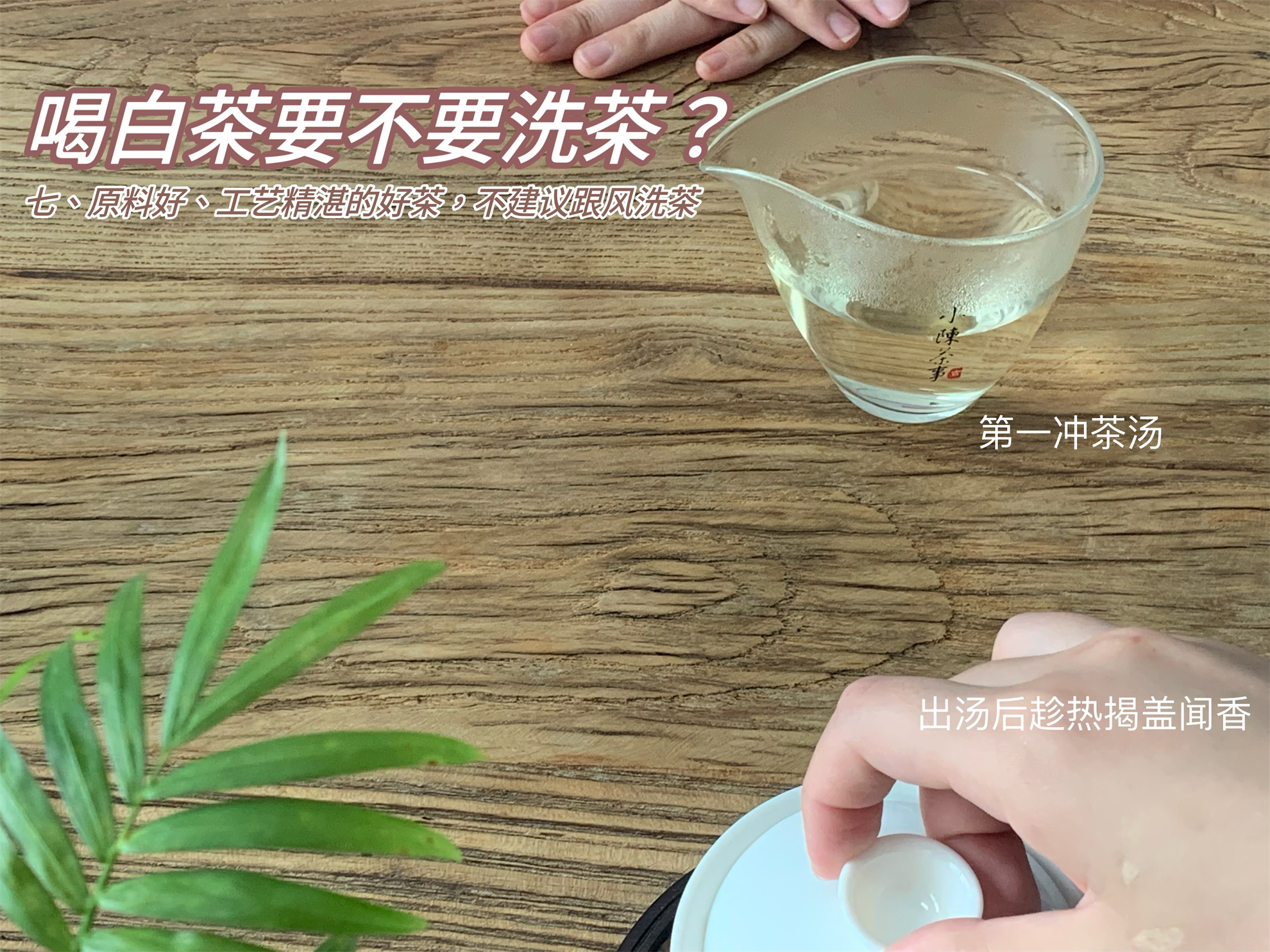 什么是沸水洗茶,洗茶水温多少合适