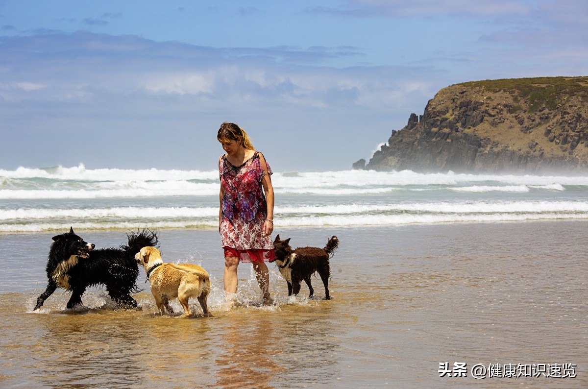 吃饱了撑得慌怎么解决,吃饱后太撑了怎么办