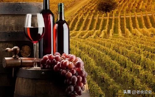 葡萄酒的酿造工艺图片欣赏表,各种葡萄品种葡萄酒的特点