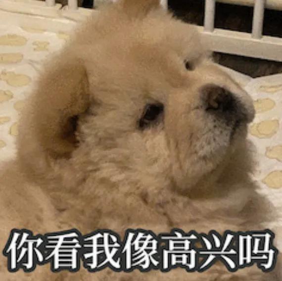 从“卡到黑屏”到“纵享丝滑”国产ToDesk黑科技让旧手机秒变新机