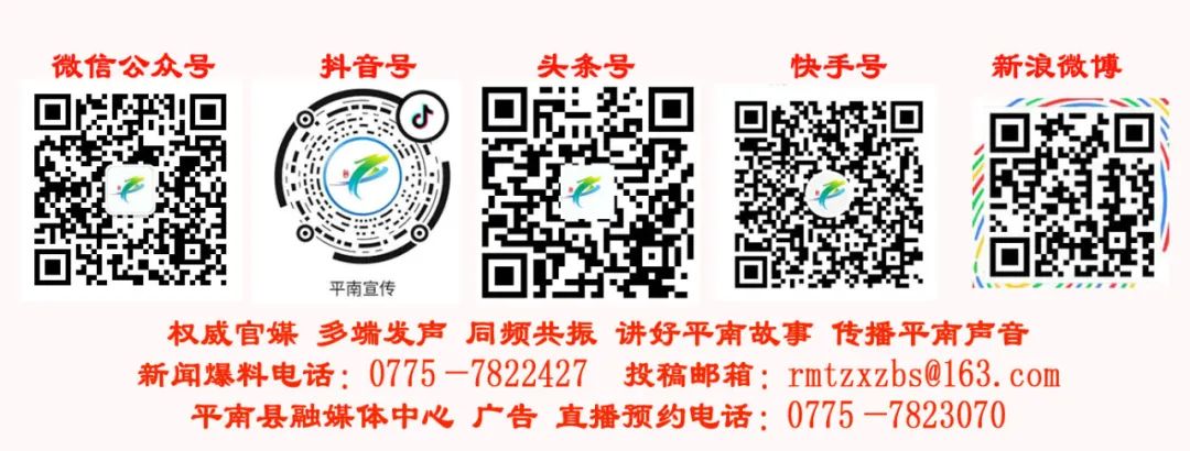 聚传媒力量，发奋进强音！平南县上半年新闻宣传工作亮点来啦→