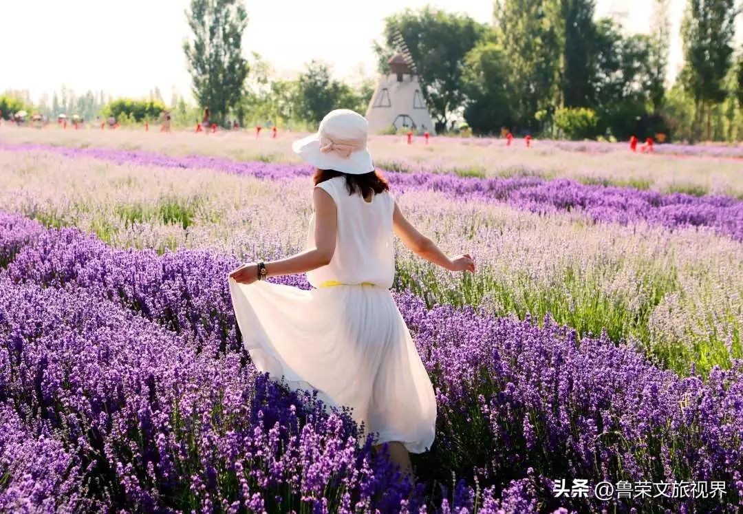 大美新疆的风景有哪些,大美新疆北疆美