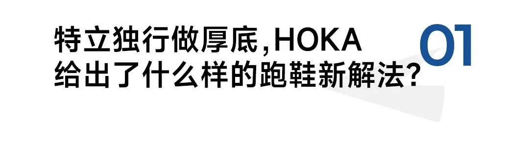 从阿尔卑斯山脉滑雪下来,从阿尔卑斯山飞下去