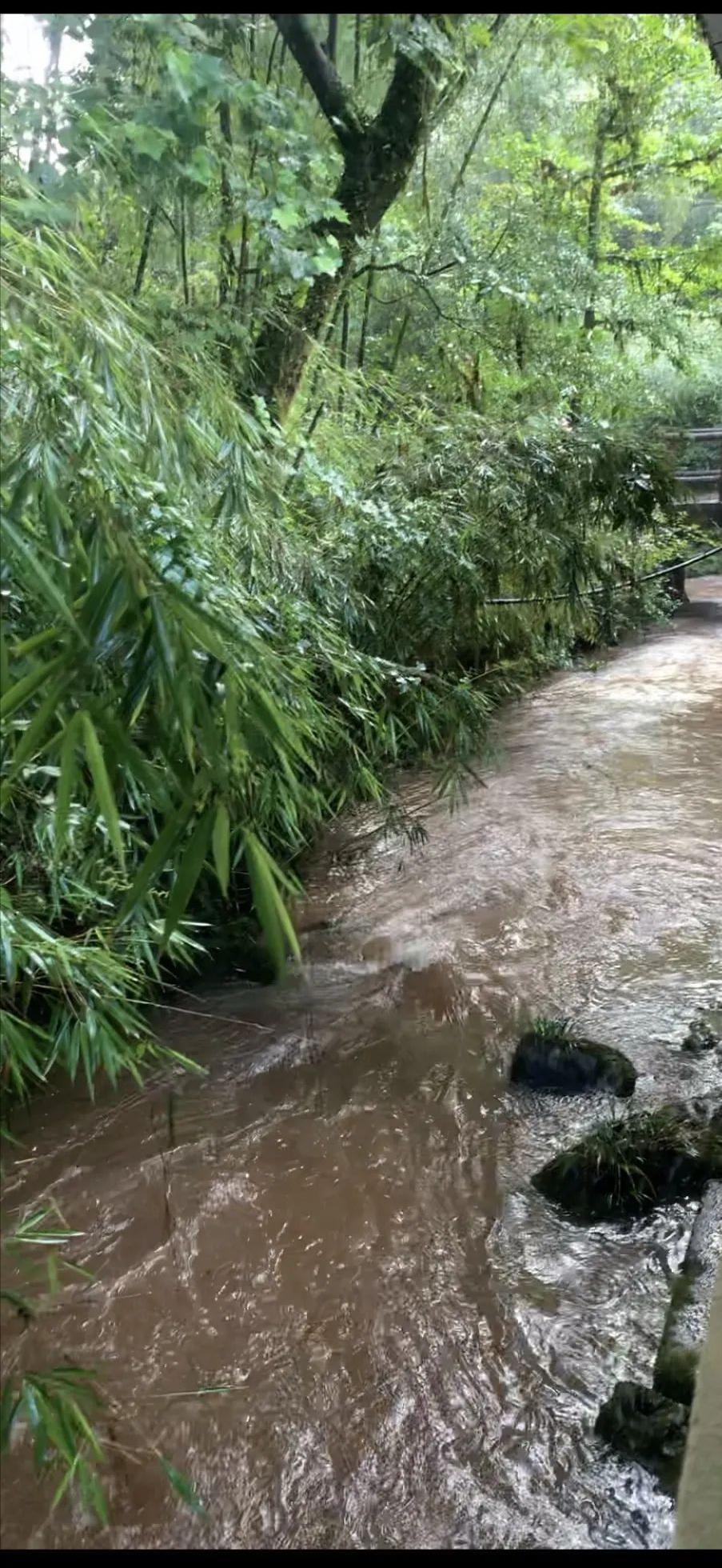 下雨天的音乐分享,下雨天一首新歌与友友们一起分享