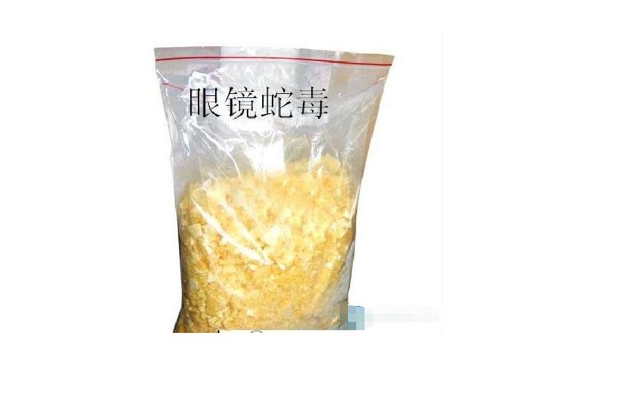 私自养野生蛇,农户私放1000条眼镜蛇