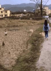 蜂花护发素搞笑视频,蜂花官方旗舰店搞笑评论