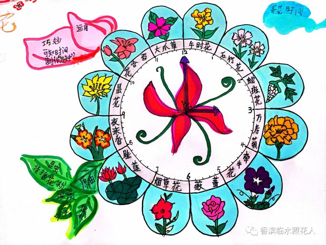 三年级下册语文花钟思维导图简单,三年级下册第13课花钟做思维导图