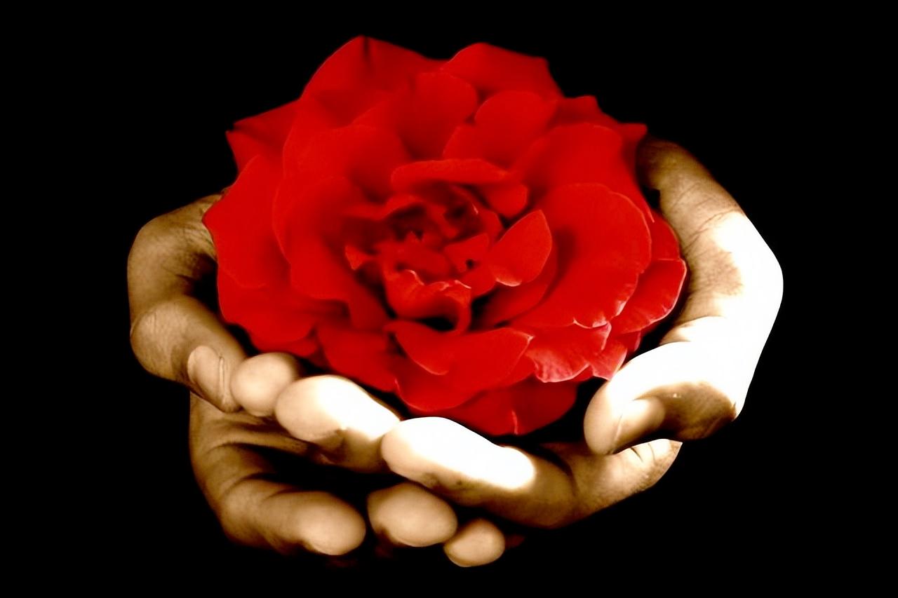 7岁女孩身患绝症，不愿拖累养父，自愿放弃治疗，感动无数人