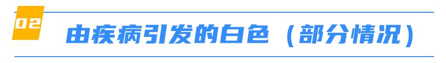 猫身上掉下来有白色颗粒是什么,猫身上白色的是什么