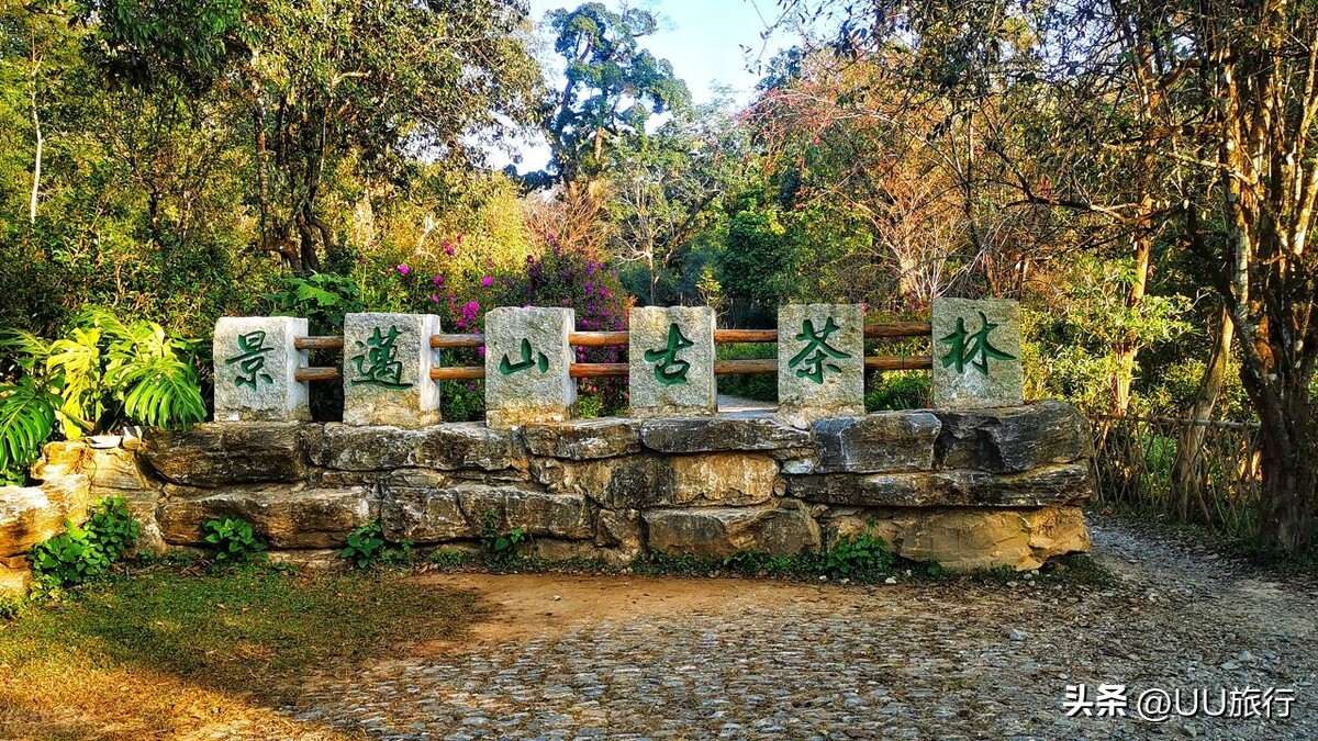 这才是云南最值得去的16个地方,云南最值得去的几个地方