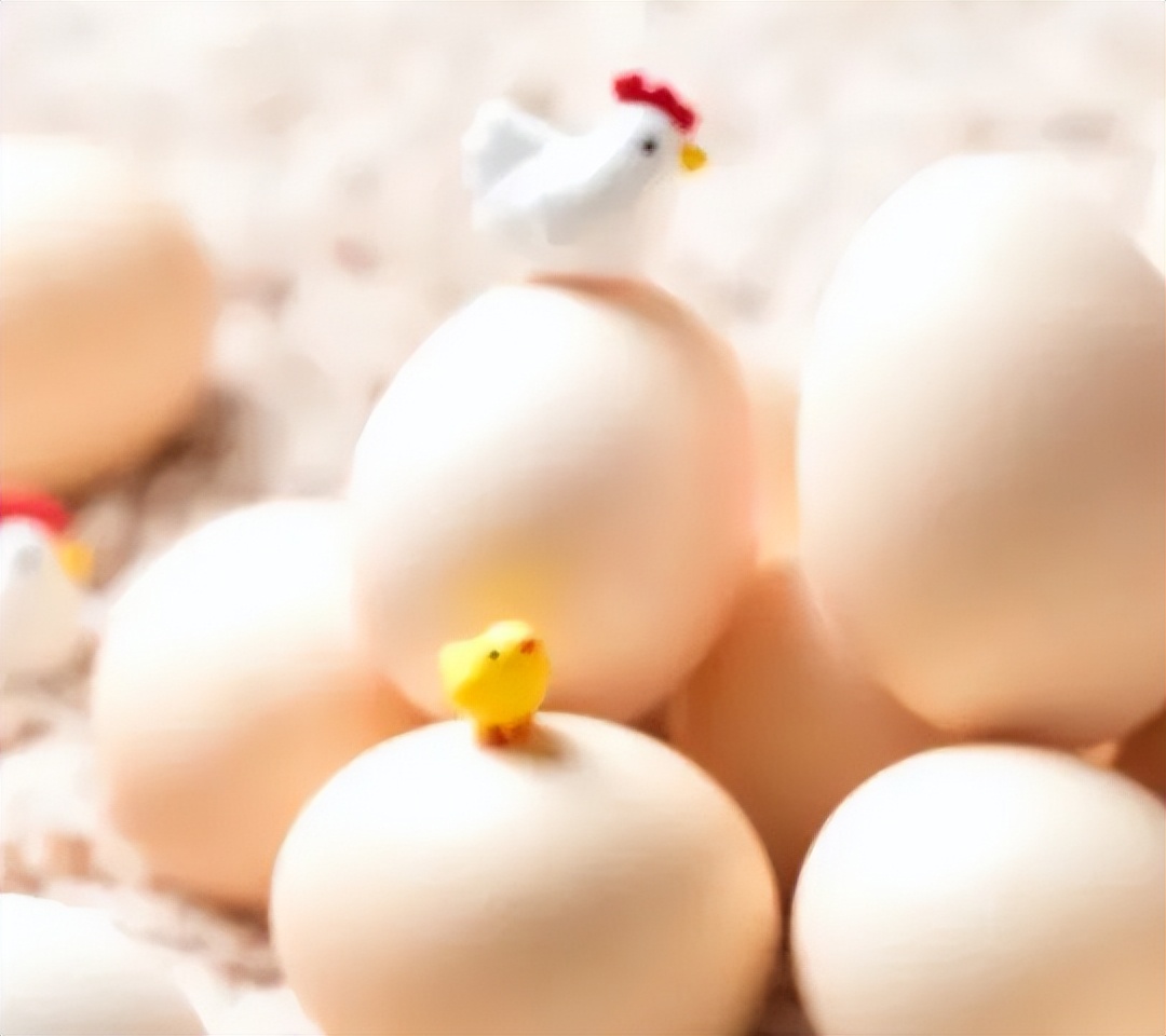 哪些鸡蛋最好吃,什么样的鸡蛋可以吃
