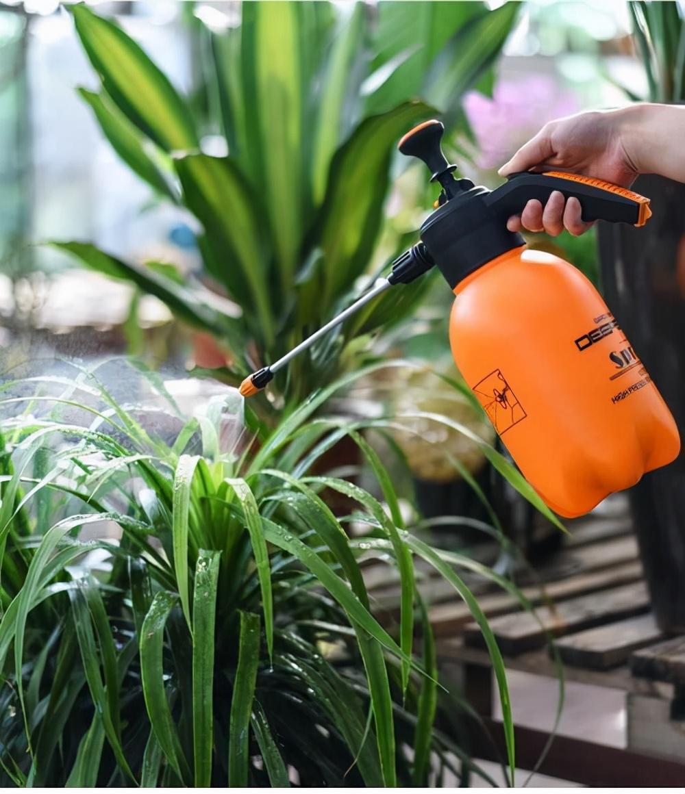 促花用花多多好还是磷酸二氢钾好,磷酸二氢钾正确的促花方法