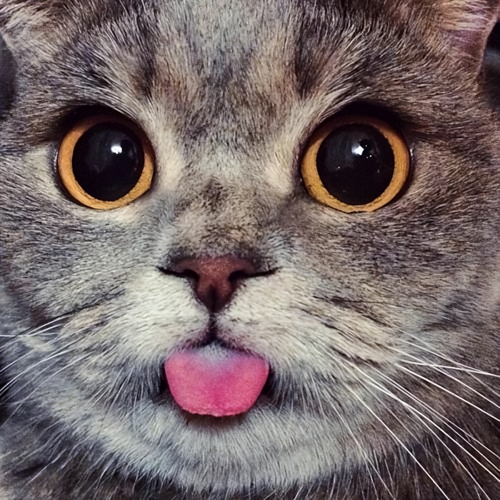 功夫咋就越学越乱呢?记住这*合六**三劲让你事半功倍