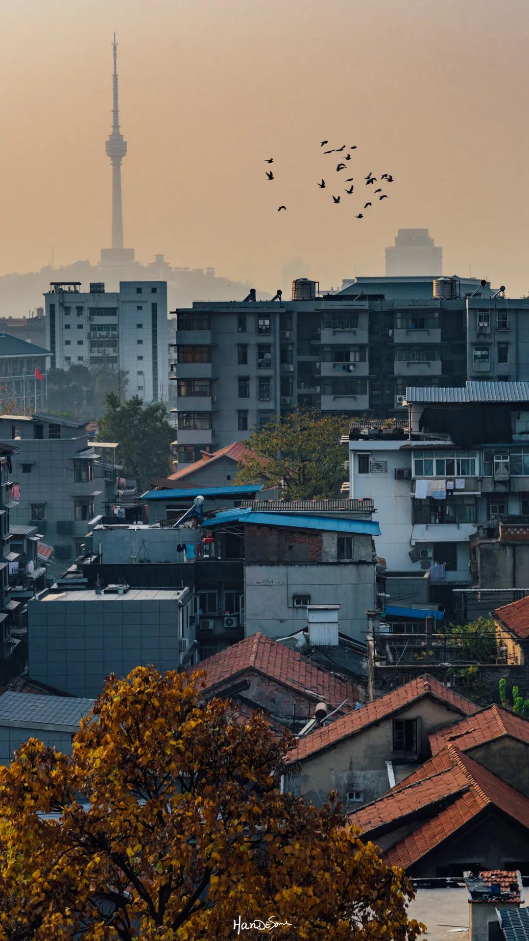 能看到龟山电视塔吗,龟山上面的电视塔
