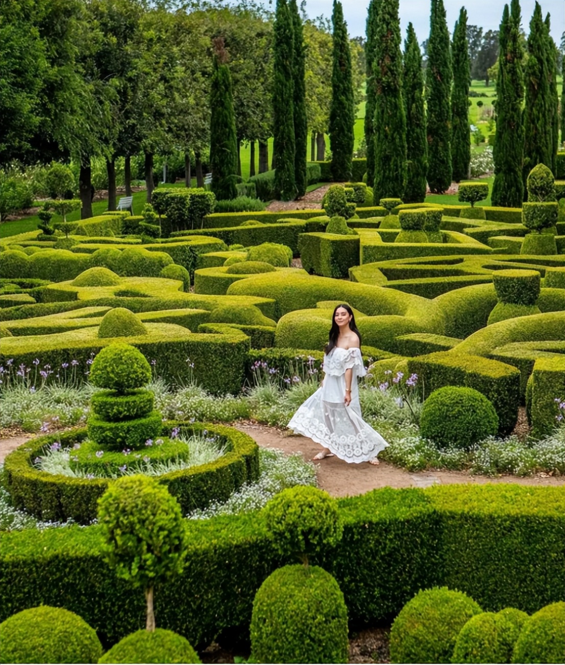 那些被我们忽略的风景,球球景观