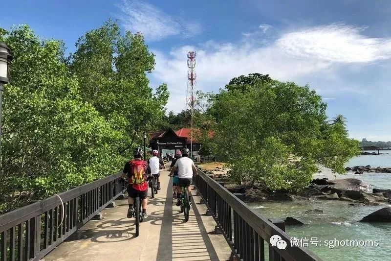 新加坡遛娃免费景点推荐一下,新加坡周末遛娃