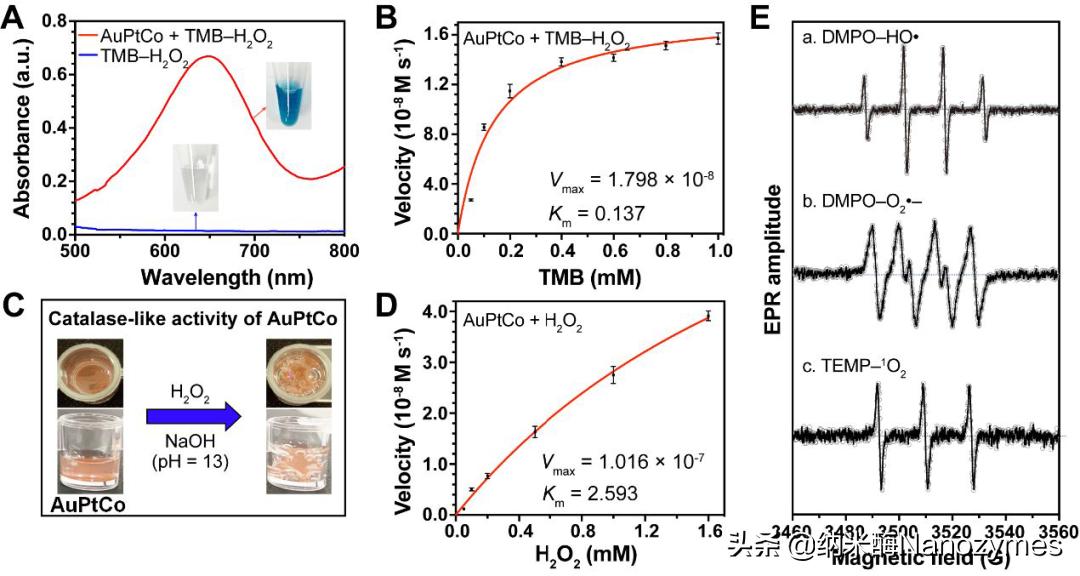 Anal.Chem.|AuPtCo三元合金纳米酶用于化学发光生物分析