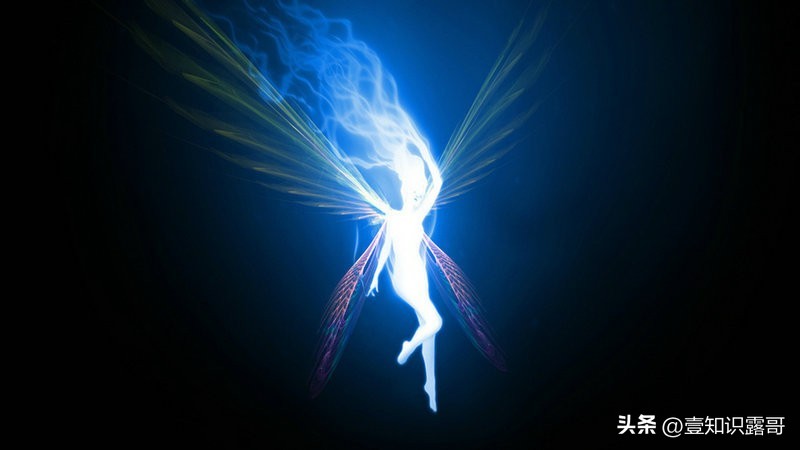 什么是灵魂灵魂的真谛是什么,爱因斯坦认为灵魂的本质是什么