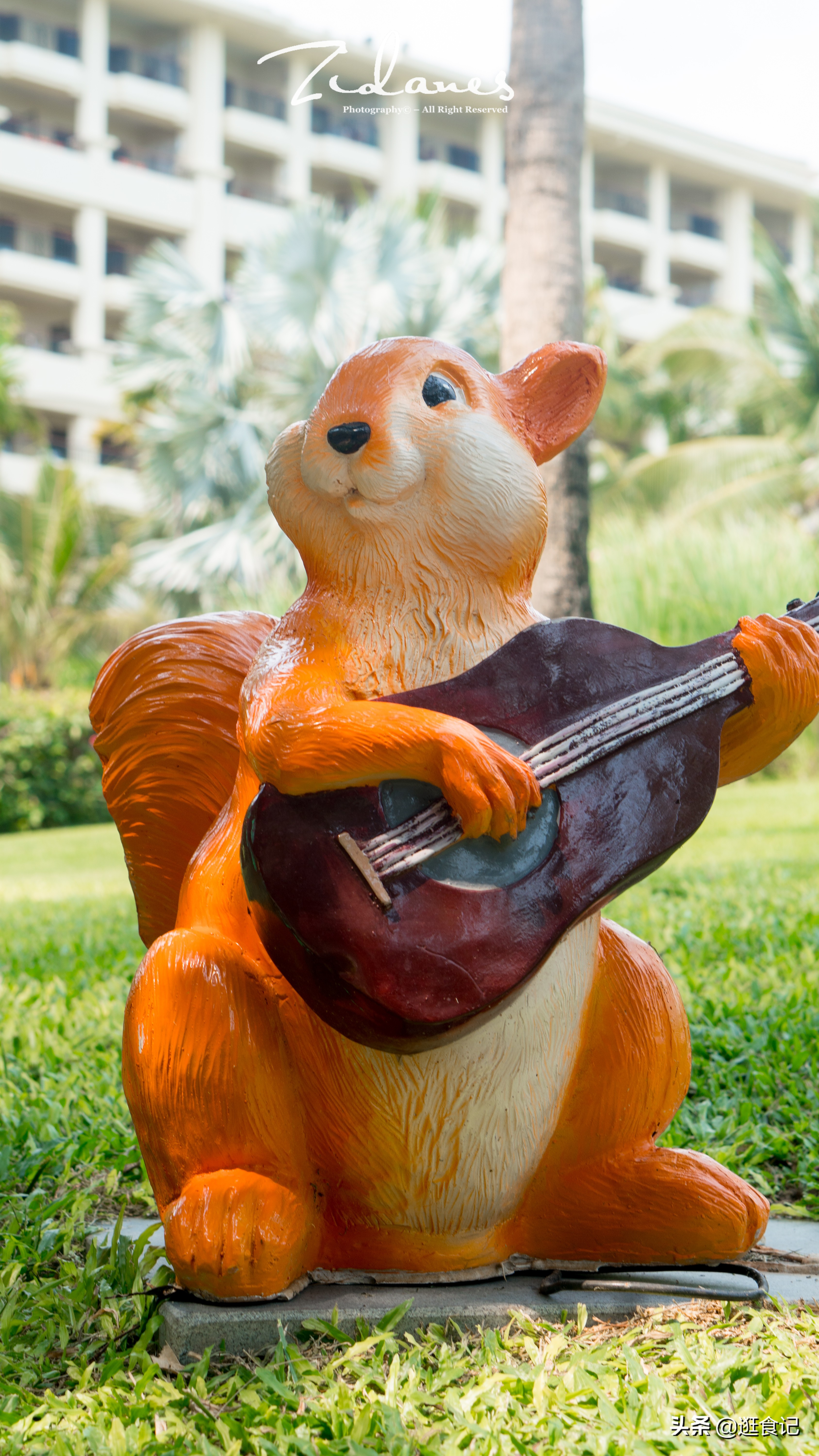 三亚亲子游亚龙湾天域酒店,亚龙湾天域和亚龙湾红树林