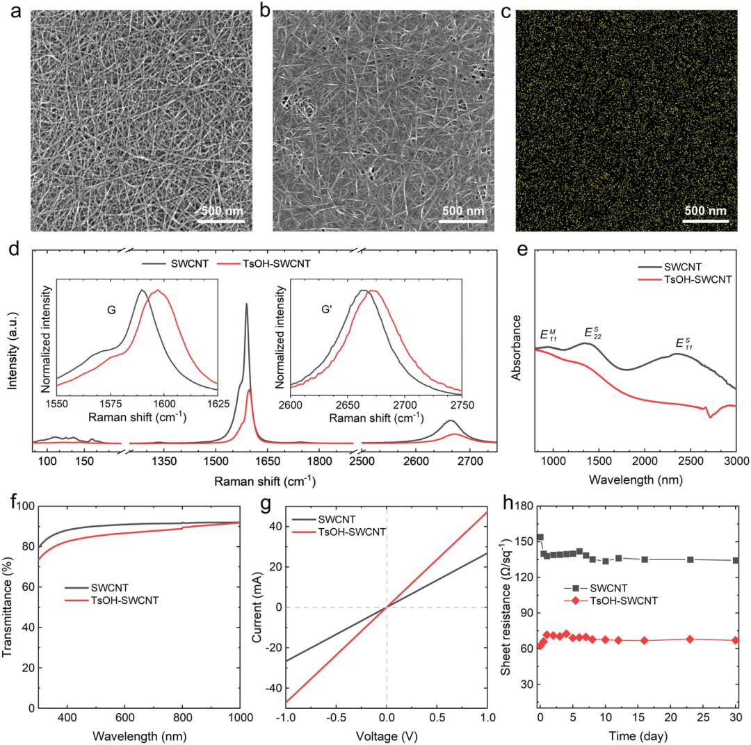 《AdvancedScience》发表常晶晶教授胡显刚博士研究成果