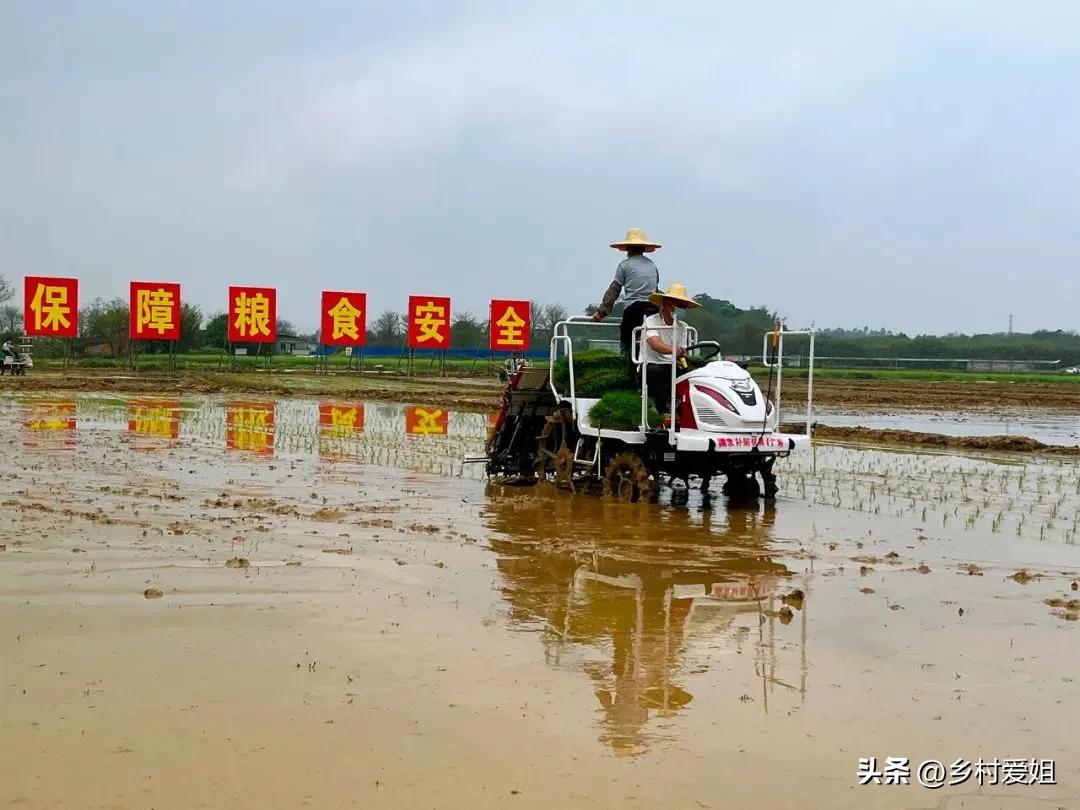 种粮农民一次性补贴是什么钱,发放实际种粮农民一次性补贴资金