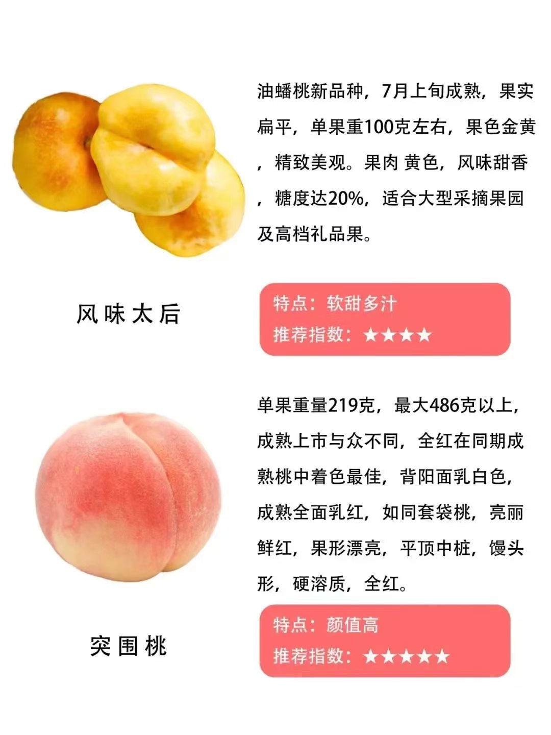 桃子品种大全及介绍,常见桃类的种类及特点