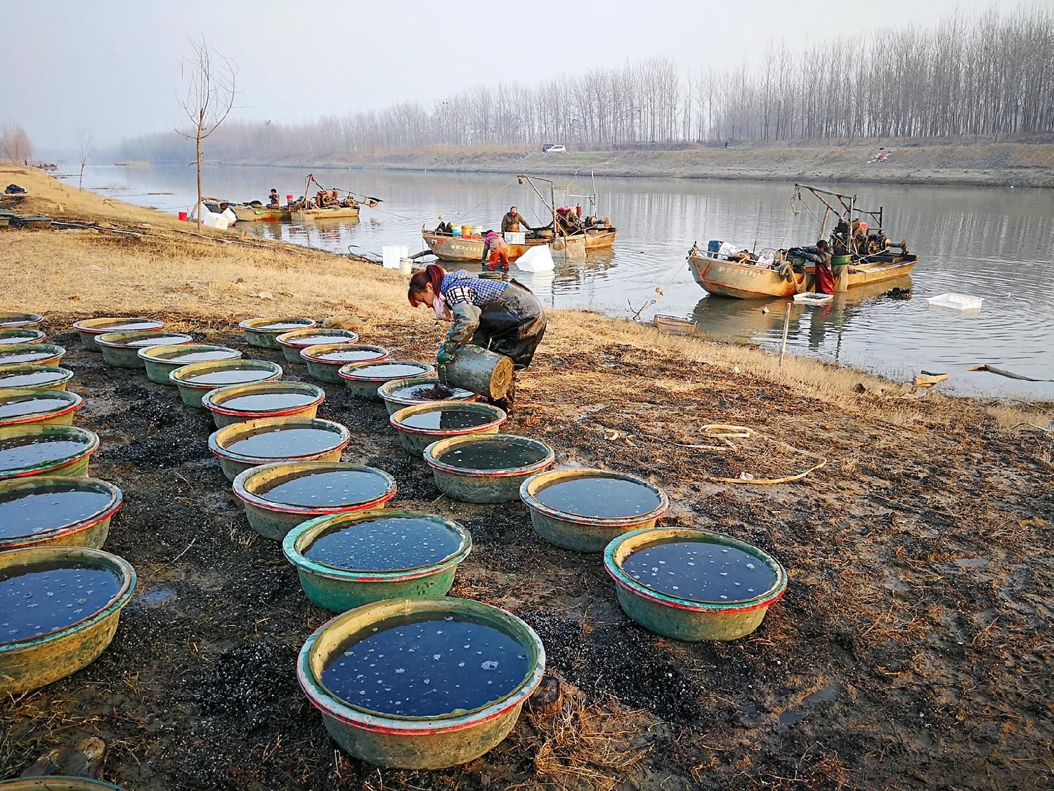 污水池里的“宝”，1晚捞100斤，2个农村“能人”因红虫产生矛盾