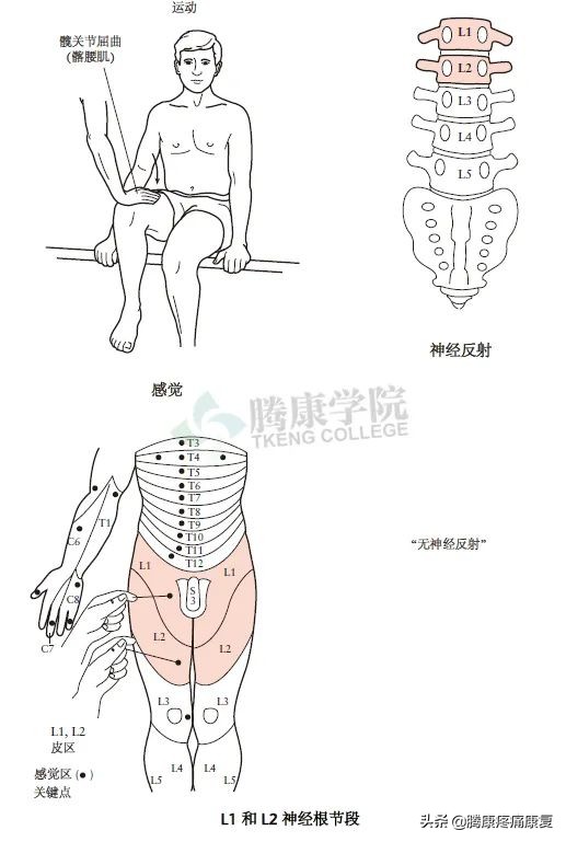 腰骶丛神经检查痛苦吗,腰骶椎不舒服怎样检查