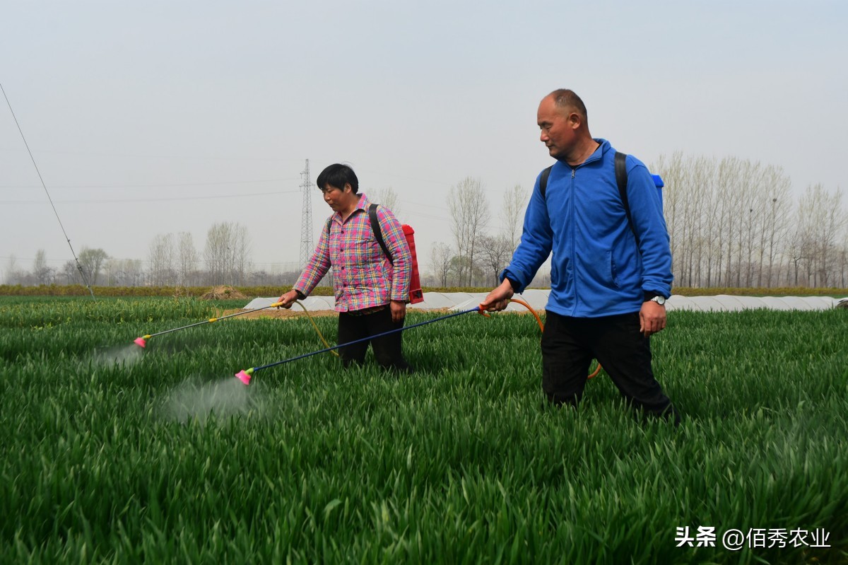 噻虫嗪是广谱杀虫剂吗,比噻虫嗪还好的杀虫剂