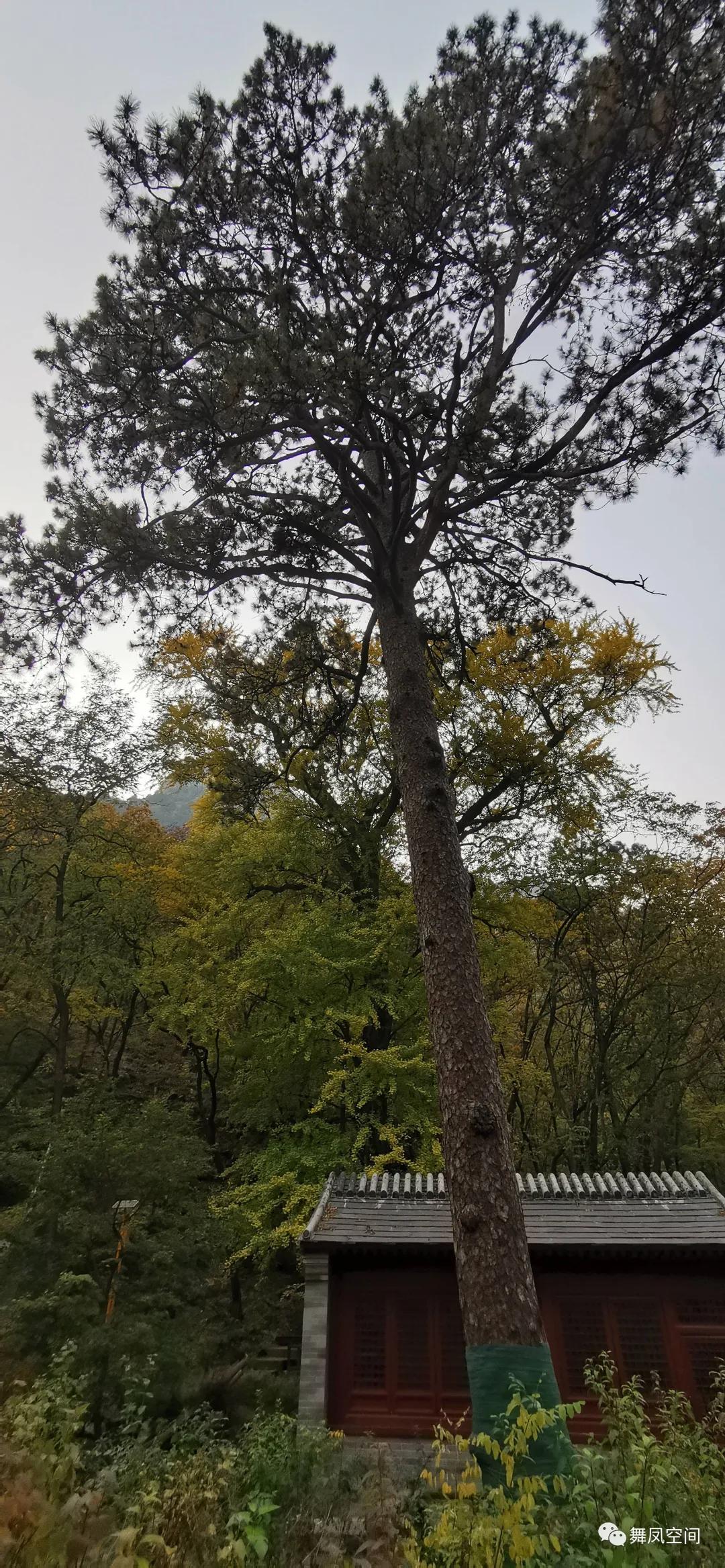 北京上方山千年古刹,上方山七十二个寺庙