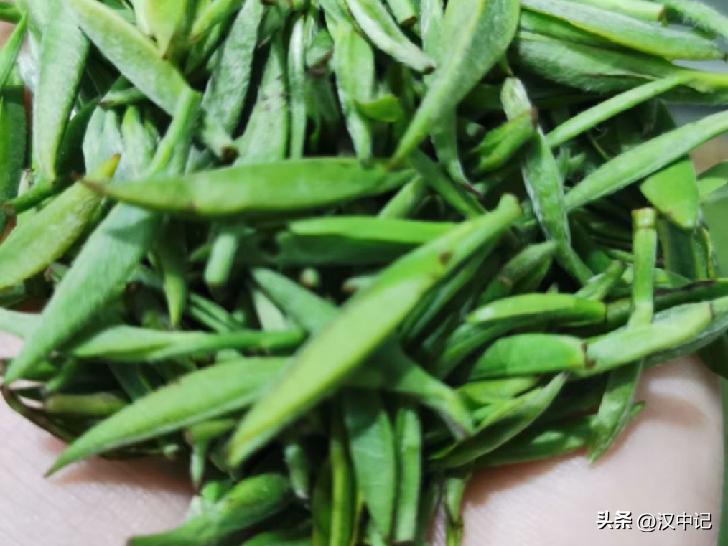 向氏茶业：聚焦高质量发展念好“绿叶”致富经