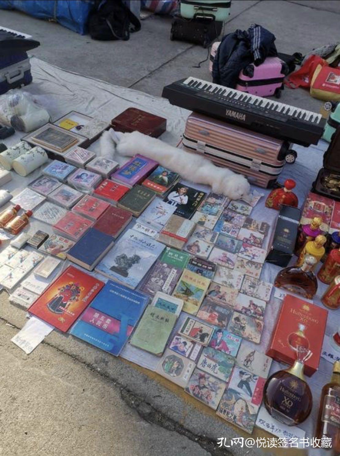 青岛文化市场地摊在哪里,青岛市文化市场每天都有摆摊的吗