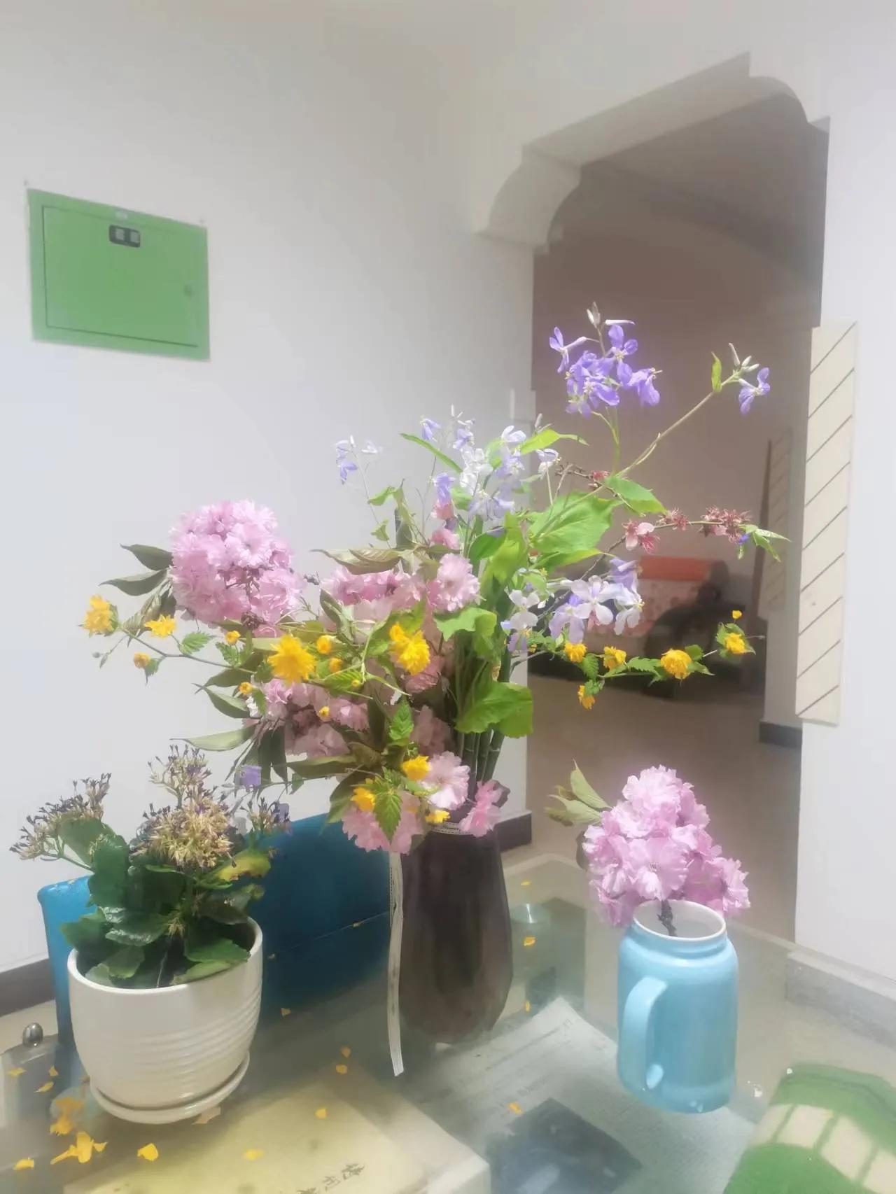 红叶诗五言全文,红叶的诗句古诗大全